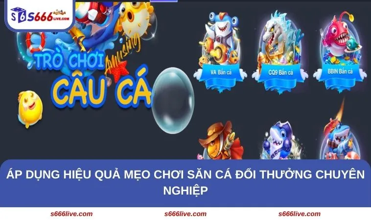 Áp dụng hiệu quả mẹo chơi săn cá đổi thưởng chuyên nghiệp