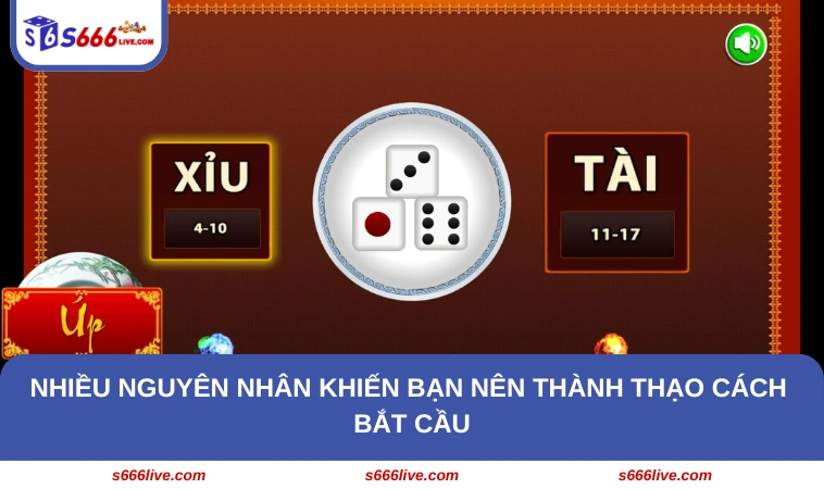 Nhiều nguyên nhân khiến bạn nên thành thạo cách bắt cầu