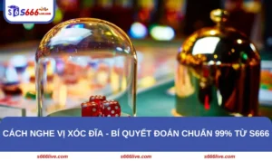 Cách Nghe Vị Xóc Đĩa