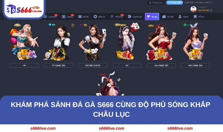 Khám phá sảnh đá gà S666 cùng độ phủ sóng khắp châu lục