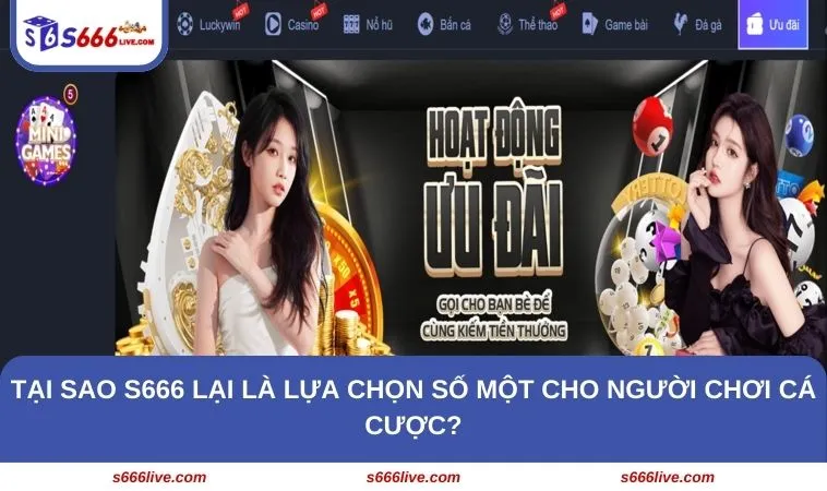 Tại sao S666 lại là lựa chọn số một cho người chơi cá cược?