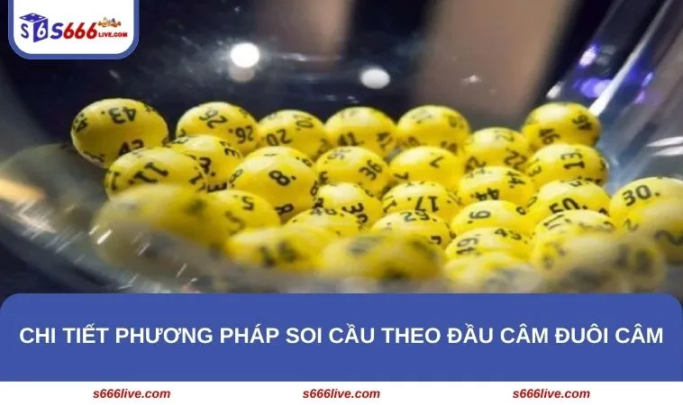 Hôm Nay Đánh Con Gì? Cách Dự Đoán Tại Nhà Cái S666 276 Chi tiết phương pháp soi cầu theo đầu câm đuôi câm