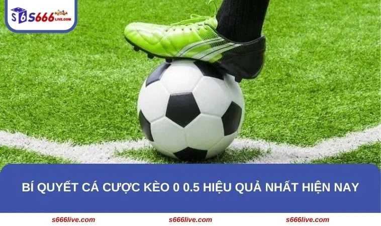 Kèo 0 0.5 - Khám Phá Chiến Lược Cá Cược Hiệu Quả Tại S666 301 Bật mí 4 cách cá cược kèo 0 0.5 bất bại từ cao thủ cho newbie