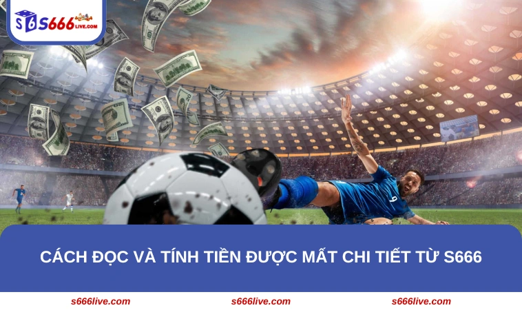 Cách đọc và tính tiền được mất chi tiết từ S666