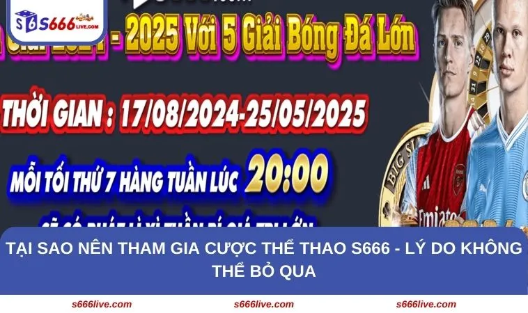 Tại sao nên tham gia cược thể thao S666 - Lý do không thể bỏ qua