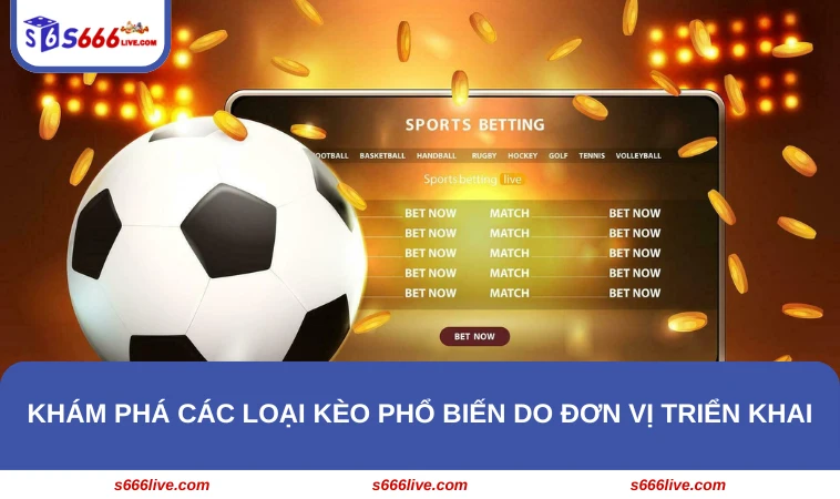 Khám phá các loại kèo phổ biến do đơn vị triển khai