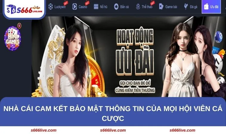 Nhà cái cam kết bảo mật thông tin của mọi hội viên cá cược
